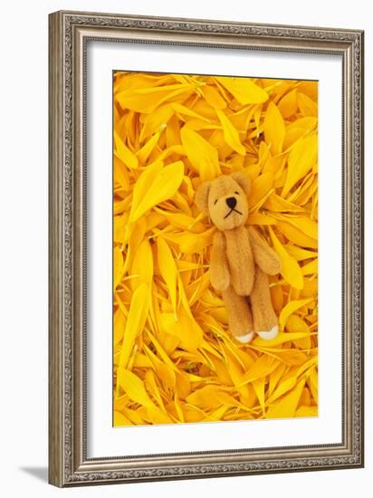 Chrysanthemum Petals-Den Reader-Framed Photographic Print