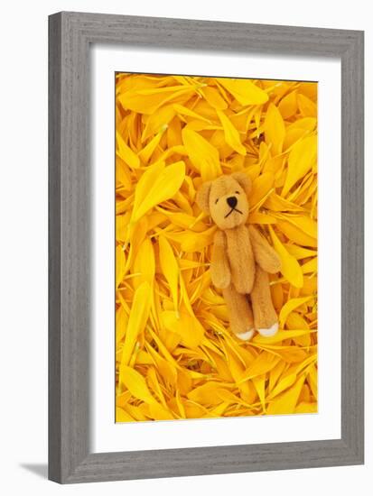 Chrysanthemum Petals-Den Reader-Framed Photographic Print