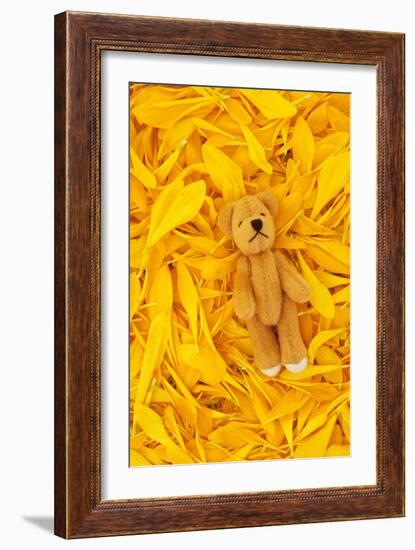 Chrysanthemum Petals-Den Reader-Framed Photographic Print