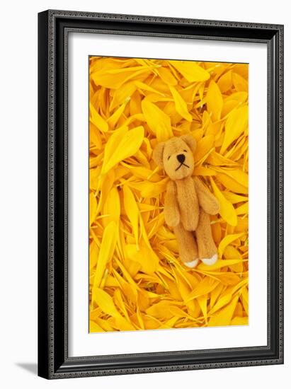 Chrysanthemum Petals-Den Reader-Framed Photographic Print