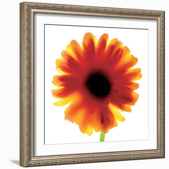 Chrysanthemum Photo I-unknown unknown-Framed Photo