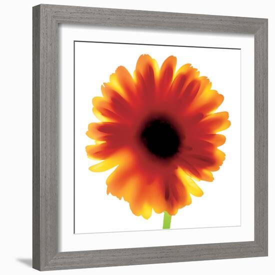 Chrysanthemum Photo I-unknown unknown-Framed Photo