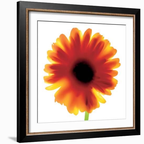 Chrysanthemum Photo I-unknown unknown-Framed Photo