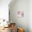 Chrysanthemum Pink Blush I-David Pollard-Art Print displayed on a wall