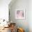 Chrysanthemum Pink Blush I-David Pollard-Framed Art Print displayed on a wall
