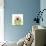 Chrysanthemum Pop-Albert Koetsier-Premium Photographic Print displayed on a wall