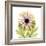 Chrysanthemum Pop-Albert Koetsier-Framed Photographic Print