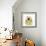 Chrysanthemum Pop-Albert Koetsier-Framed Photographic Print displayed on a wall