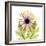 Chrysanthemum Pop-Albert Koetsier-Framed Photographic Print