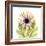 Chrysanthemum Pop-Albert Koetsier-Framed Photographic Print