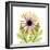 Chrysanthemum Pop-Albert Koetsier-Framed Photographic Print