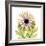 Chrysanthemum Pop-Albert Koetsier-Framed Photographic Print