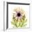 Chrysanthemum Pop-Albert Koetsier-Framed Photographic Print