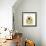 Chrysanthemum Pop-Albert Koetsier-Framed Photographic Print displayed on a wall