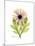 Chrysanthemum Portrait-Albert Koetsier-Mounted Premium Giclee Print