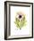 Chrysanthemum Portrait-Albert Koetsier-Framed Premium Giclee Print