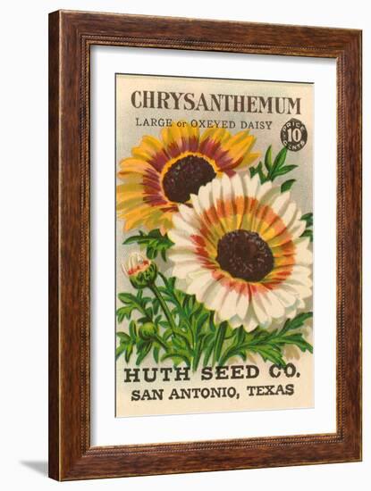 Chrysanthemum Seed Packet-null-Framed Art Print