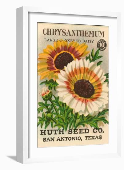 Chrysanthemum Seed Packet-null-Framed Art Print