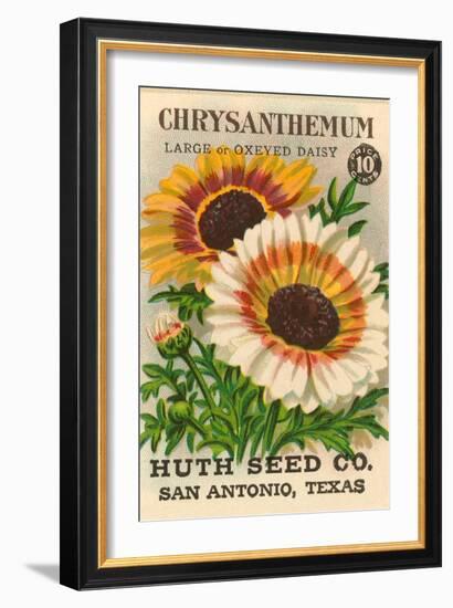 Chrysanthemum Seed Packet-null-Framed Art Print