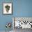 Chrysanthemum Segetum, Feverfew-Karl Blossfeldt-Framed Art Print displayed on a wall