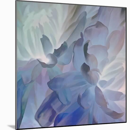 Chrysanthemum V-David Pollard-Mounted Art Print