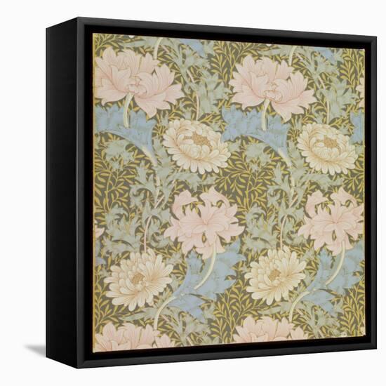 Chrysanthemum' Wallpaper, 1876-William Morris-Framed Premier Image Canvas