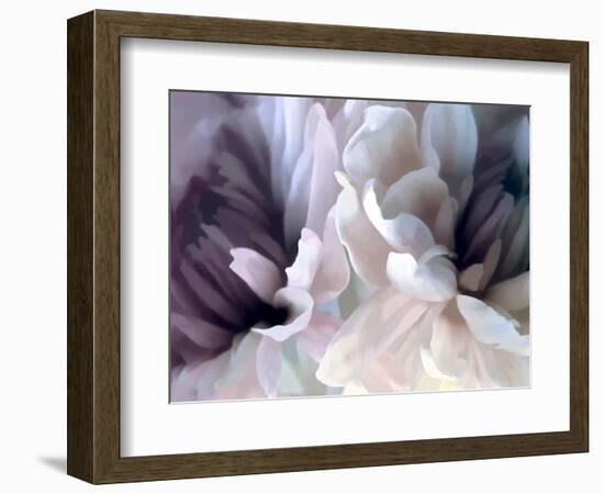 Chrysanthemum X-David Pollard-Framed Premium Giclee Print