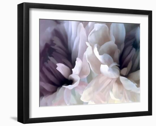 Chrysanthemum X-David Pollard-Framed Art Print