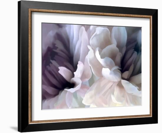 Chrysanthemum X-David Pollard-Framed Art Print
