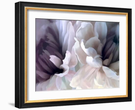 Chrysanthemum X-David Pollard-Framed Art Print