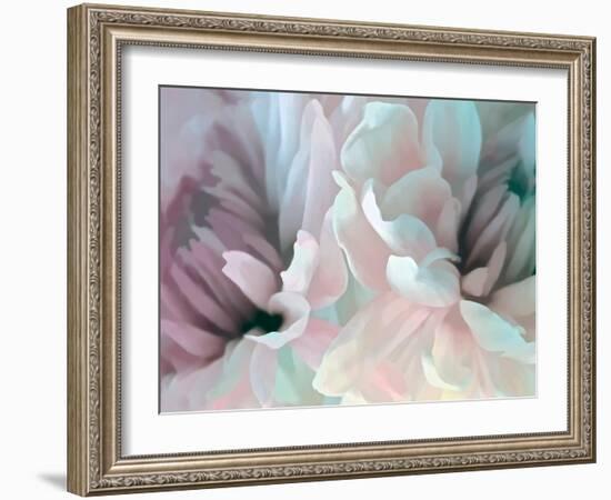 Chrysanthemum XIII-David Pollard-Framed Art Print