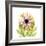 Chrysanthemum-Albert Koetsier-Framed Art Print