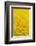 Chrysanthemum-DLILLC-Framed Photographic Print