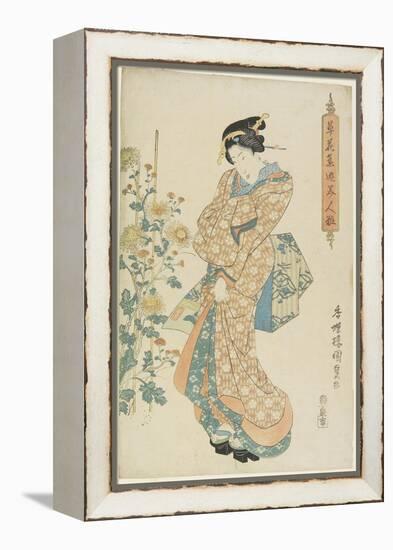 Chrysanthemums, 1830-1844-Utagawa Kunisada-Framed Premier Image Canvas