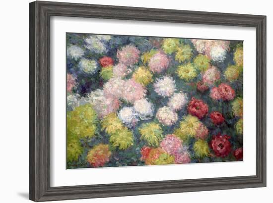 Chrysanthemums, 1897-Claude Monet-Framed Giclee Print