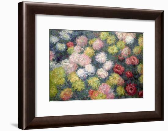 Chrysanthemums, 1897-Claude Monet-Framed Giclee Print