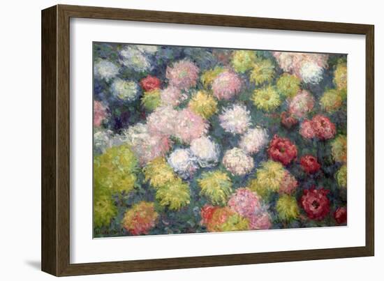 Chrysanthemums, 1897-Claude Monet-Framed Giclee Print