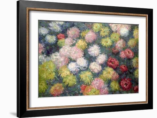 Chrysanthemums, 1897-Claude Monet-Framed Giclee Print