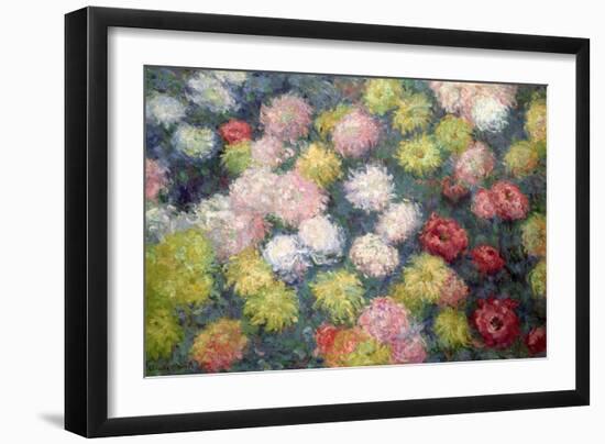 Chrysanthemums, 1897-Claude Monet-Framed Giclee Print