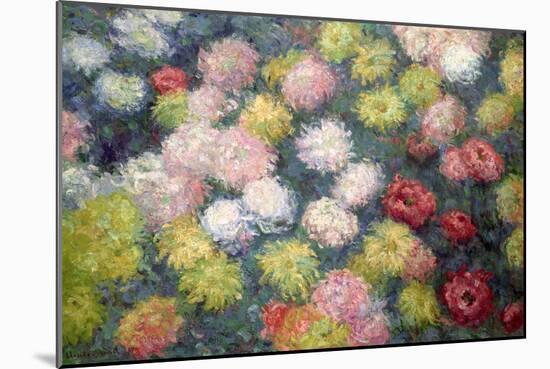 Chrysanthemums, 1897-Claude Monet-Mounted Giclee Print