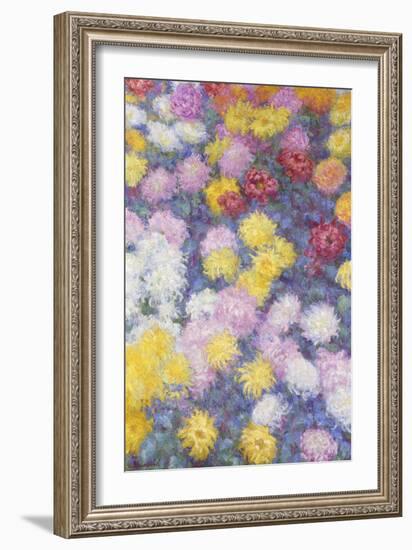 Chrysanthemums, 1897-Claude Monet-Framed Giclee Print