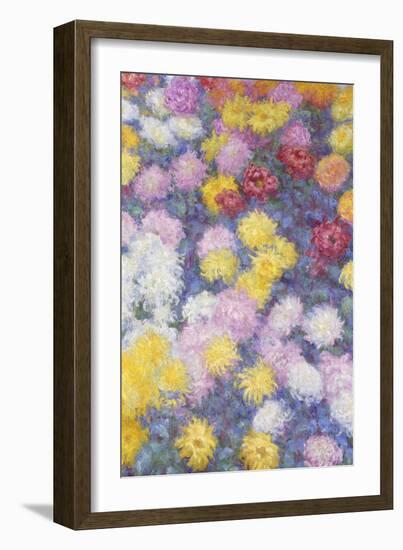 Chrysanthemums, 1897-Claude Monet-Framed Giclee Print