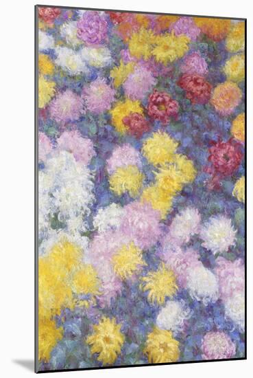 Chrysanthemums, 1897-Claude Monet-Mounted Giclee Print