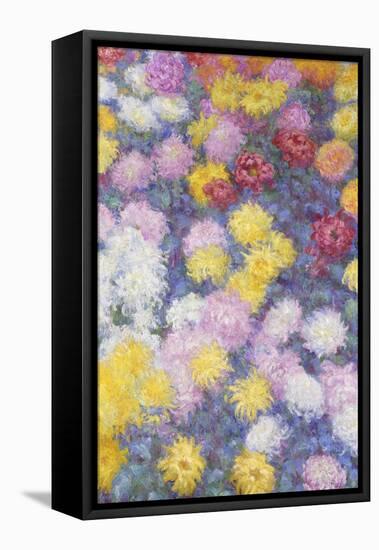 Chrysanthemums, 1897-Claude Monet-Framed Premier Image Canvas