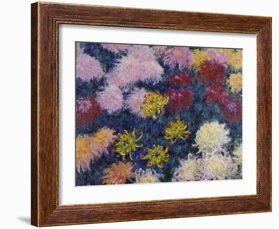 Chrysanthemums, 1897-Claude Monet-Framed Giclee Print