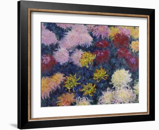 Chrysanthemums, 1897-Claude Monet-Framed Giclee Print