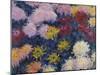 Chrysanthemums, 1897-Claude Monet-Mounted Giclee Print