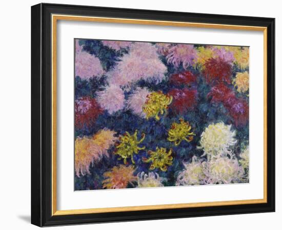 Chrysanthemums, 1897-Claude Monet-Framed Giclee Print