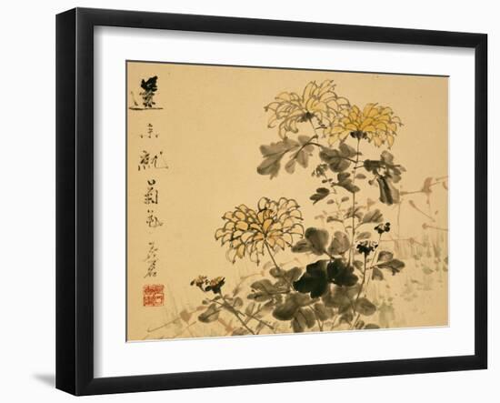 Chrysanthemums, A Leaf from an Album of Various Subjects-Xu Gu-Framed Giclee Print