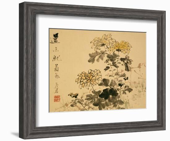 Chrysanthemums, A Leaf from an Album of Various Subjects-Xu Gu-Framed Giclee Print